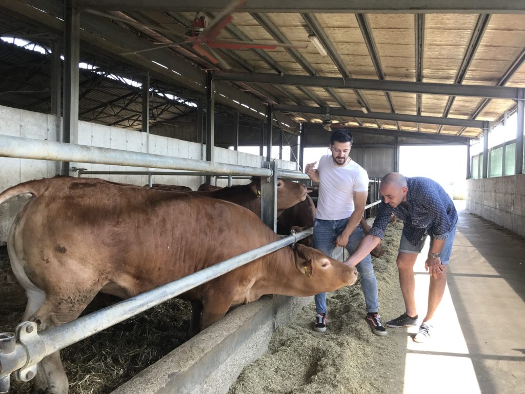azienda Agricola Pozzan la bottega della strana